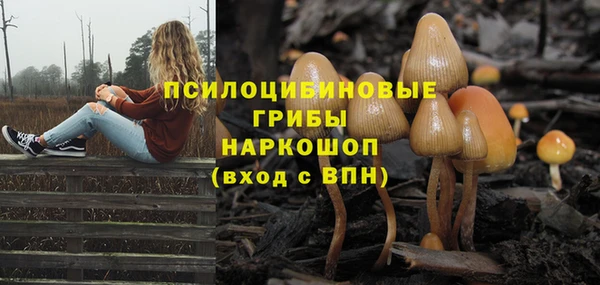 первитин Беломорск