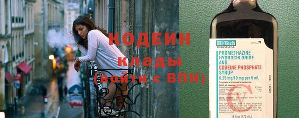 прущие грибы Белоозёрский